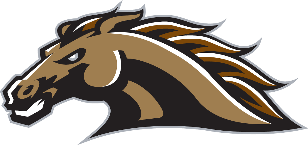 Western Michigan Broncos 1998-Pres Secondary Logo iron on transfers for T-shirts